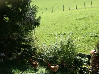 Appartamento Walchsee Registrazione all'aperto 9