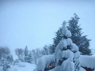 Appartamento Walchsee Registrazione all'aperto 11