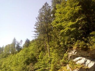 Appartamento Walchsee Registrazione all'aperto 16