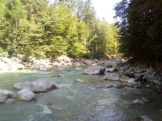 Appartamento Walchsee Registrazione all'aperto 17