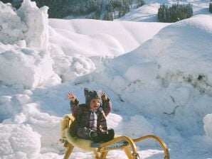 Ap."Veilchen" -Wohn-Schlafr./Du/WC,TV,