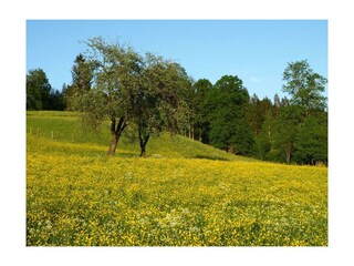 Appartamento Kössen Registrazione all'aperto 3