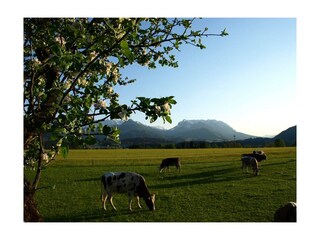 Appartamento Kössen Registrazione all'aperto 12