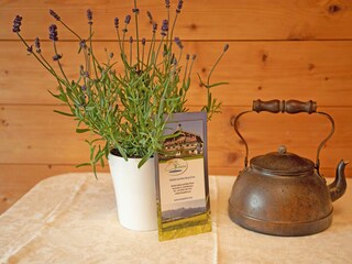 Ferienwohnungen Mai 2025 Foto Birgit Schwaighofer-