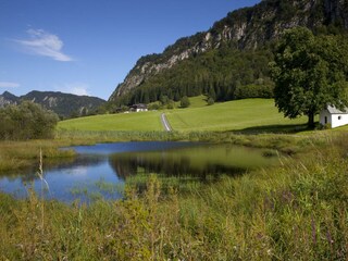 Schwemm - Moorgebiet