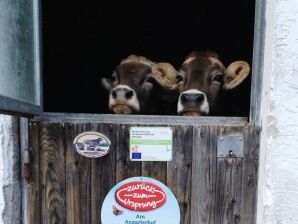 Doppelzimmer - ohne Frühstück