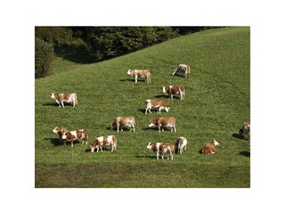 Camera per vacanze Rettenschöss Registrazione all'aperto 8