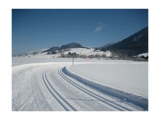 Loipe mit Blick auf unser Haus