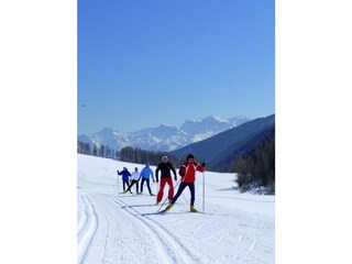 Cross-country skiing / Biathlon