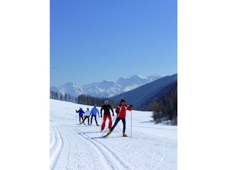 Langlaufen/ Biathlon
