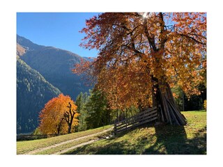 Goldener Herbst