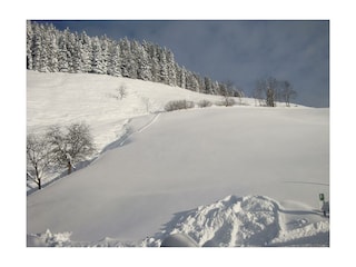 Ein wunderschöner Wintertag