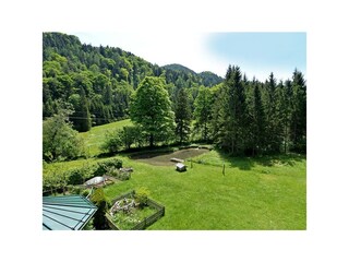 Aussicht ins Grüne