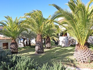 Casa per le vacanze Peñiscola Caratteristiche 22