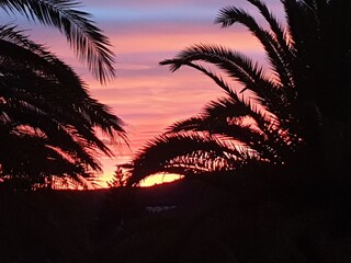 Casa per le vacanze Peñiscola Caratteristiche 15