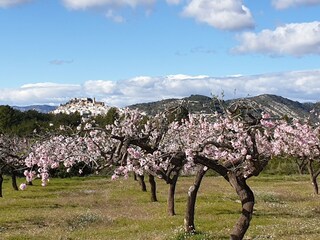 Casa per le vacanze Peñiscola Ambiente 30