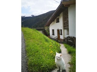 Appartamento per vacanze Kappl Registrazione all'aperto 6