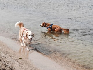 Vakantiehuis Wervershoof Omgeving 27