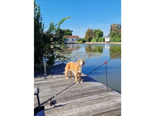 Casa per le vacanze Wervershoof Registrazione all'aperto 9