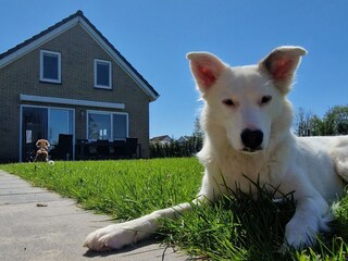 Casa per le vacanze Wervershoof Registrazione all'aperto 4