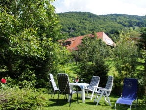 Holiday apartment Haus Ebser - Todtnau - image1