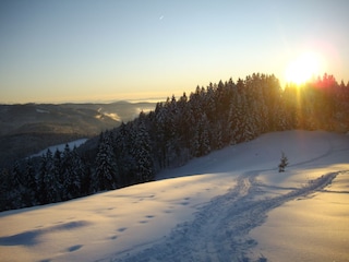 Skigebiet Feldberg in 15 min mit dem Bus erreichbar