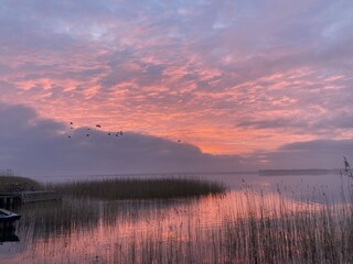 Morgens im Februar am Bodden