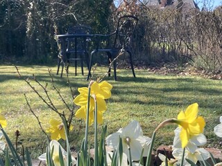Romantischer Sitzplatz im großen Garten