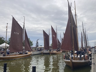 Start der Zeesboot Regatta in Wustrow