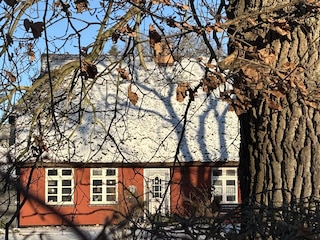 Gemütliche Winterzeit im Fischerhus