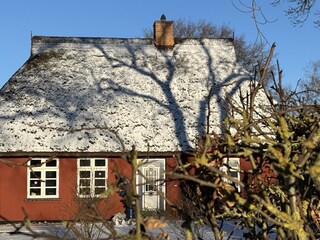 Winterzeit - zum Träumen