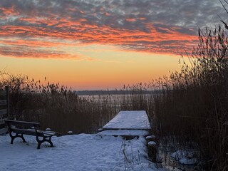 Wintersonnenaufgang am Bodden in Born