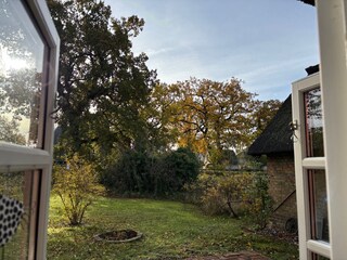 Blick in den herbstlichen Garten