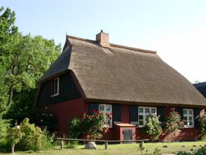 Ferienhaus "Fischerhus" - Born - image1