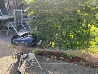 Weber Kugelgrill