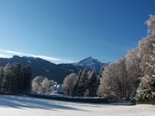Straußvilla mit Alpspitze
