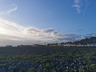 Blick aus dem Fenster über das weite Feld