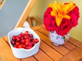 Villa Poličnik Kenmerken 55