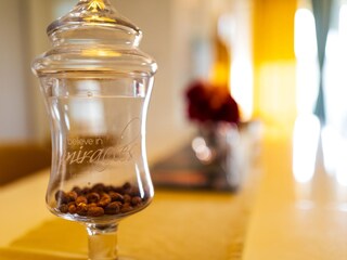 Villa Poličnik Équipement 30