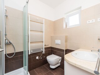 Villa Poličnik Caratteristiche 54