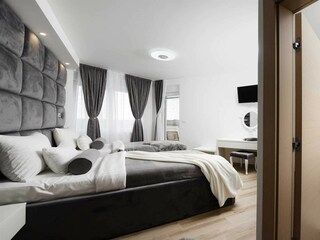 Villa Vrsi Caratteristiche 21