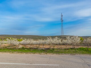 Casa de vacaciones Benkovac Entorno 78