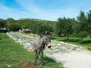 Maison de vacances Benkovac Environnement 83