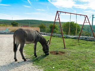 Holiday house Benkovac Environment 92