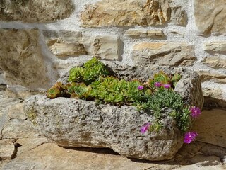 Casa per le vacanze Benkovac Registrazione all'aperto 23