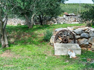 Maison de vacances Benkovac Enregistrement extérieur 34