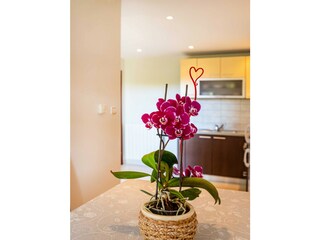 Casa per le vacanze Privlaka Caratteristiche 78