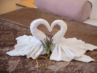 Villa Zaton (Nin) Caratteristiche 72