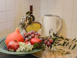 Villa Ičići Características 27