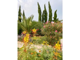 Villa Ičići Grabación al aire libre 8